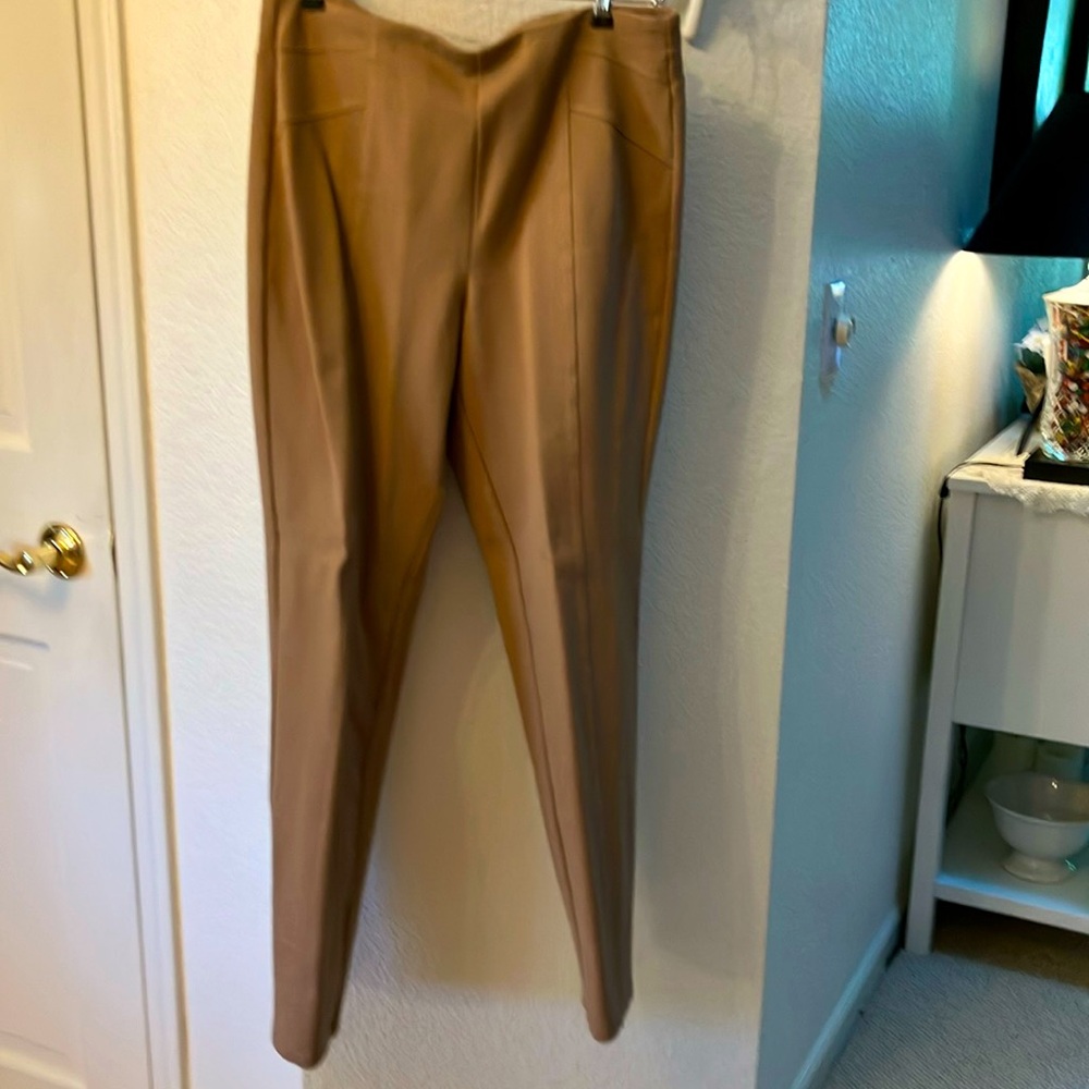 Susan graver tan pants